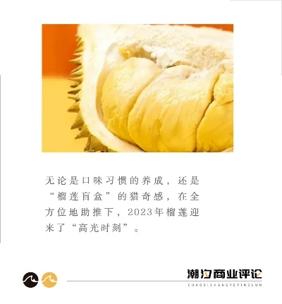 2025年生命榴莲在哪里　生命榴莲在哪儿
