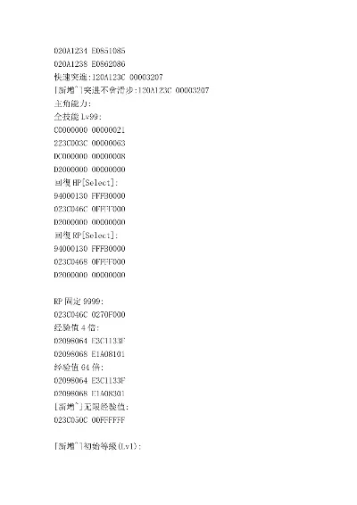 牧场物语符文工房3金手指代码全面解析