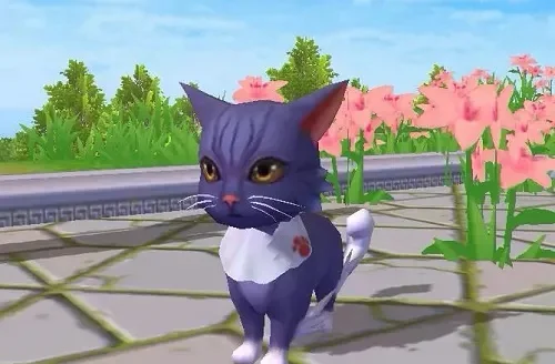 《创造与魔法》萌宠猫咪获取全攻略：制作妙妙窝，单猫转化，品种随机！