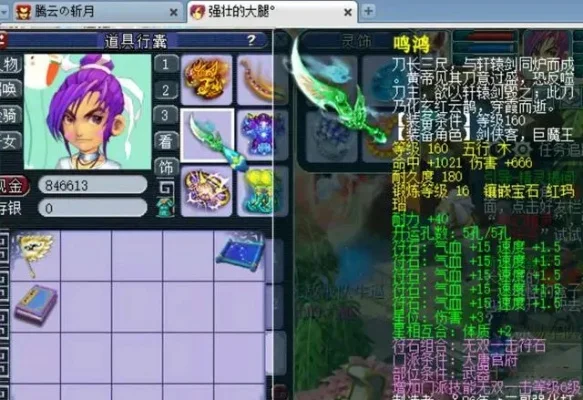 梦幻西游快速出装攻略：动物套、武器选择与灵饰搭配
