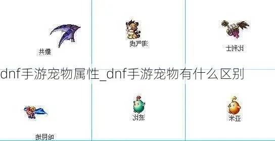dnf手游宠物怎样喂-DNF手游科学喂食宠物